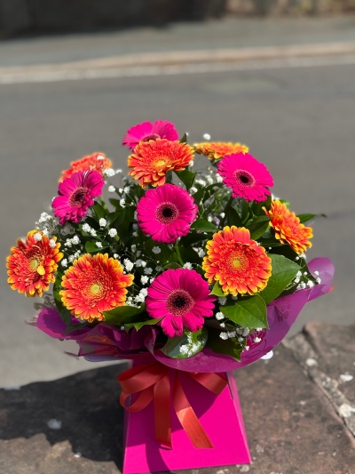 Bright Gerbera Aqua Box